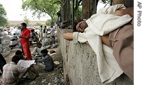 Laborer sleeps on narrow ledge of wall in shade of tree at old section of New Delhi, 12 Jun 2007 