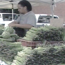 Customer shopping at the  Farmer's Market