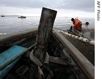 There is growing optimism about the Arctic maritime passage that runs across the top of Russia from the Bering Straits to the north Atlantic due to global warming (12 July 2007 file photo in Russia's Chukotka region)