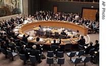 U.N. Security Council