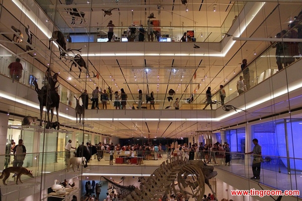 The exhibition, named "From the glacier to the forest", has the animals displayed vertically in the central hall, in up to five different layers.