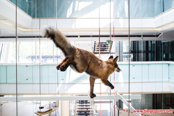 The exhibition, named "From the glacier to the forest", has the animals displayed vertically in the central hall, in up to five different layers.