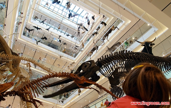 The exhibition, named "From the glacier to the forest", has the animals displayed vertically in the central hall, in up to five different layers.