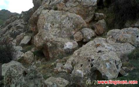 Zoologists have spotted a habitat with the greatest density of snow leopards in the entire country, located in western China’s Qinghai province.