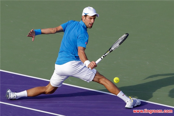 Djokovic handles Sousa 6-4, 6-1