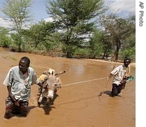 Abdi Omar Elmi, left, who lost a son and two nephews in the floods, helps lead a donkey across a submerged bridge after severe floods hit the Somali Region of Eastern Ethiopia