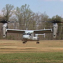 Marine Osprey