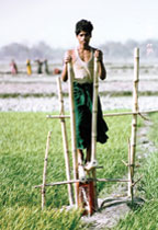 Shot of Still of Man on Bamboo Treadle Pump