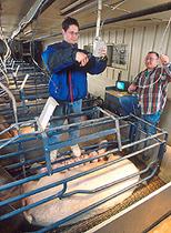 Technician Adam Lewis, left, and support scientist Jeff Dailey connect video equipment to record sow and piglet behavior in a traditional indoor farrowing environment